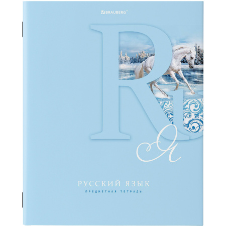 Тетради предметные, КОМПЛЕКТ 12 ПРЕДМЕТОВ, ПАСТЕЛЬНАЯ, 48л, обложка картон, BRAUBERG