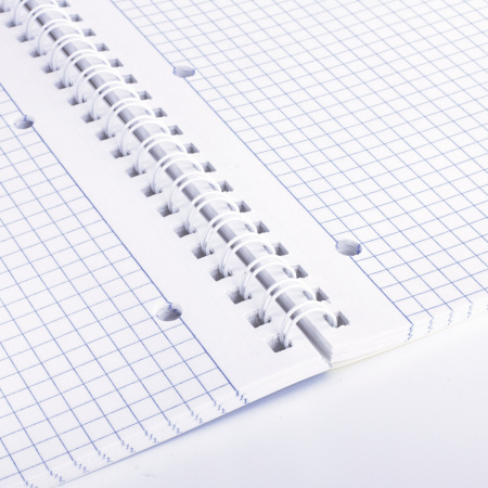 Тетрадь А4 96л. клетка на спирали BRAUBERG, офсет, обложка мелованный картон, "4 сезона"