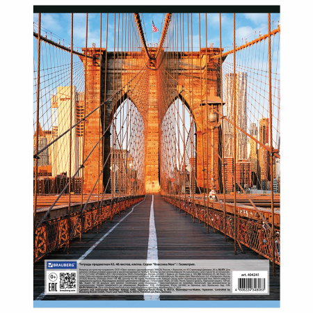 Тетрадь предметная КЛАССИКА NEW 48л, обложка картон, ГЕОМЕТРИЯ, клетка, подсказ, BRAUBERG